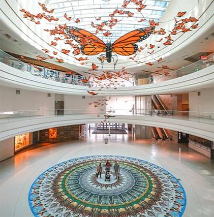 a view of the atrium of the Mall of America with butterfly art flying above a floor with a colorful medallion inlaid on it.