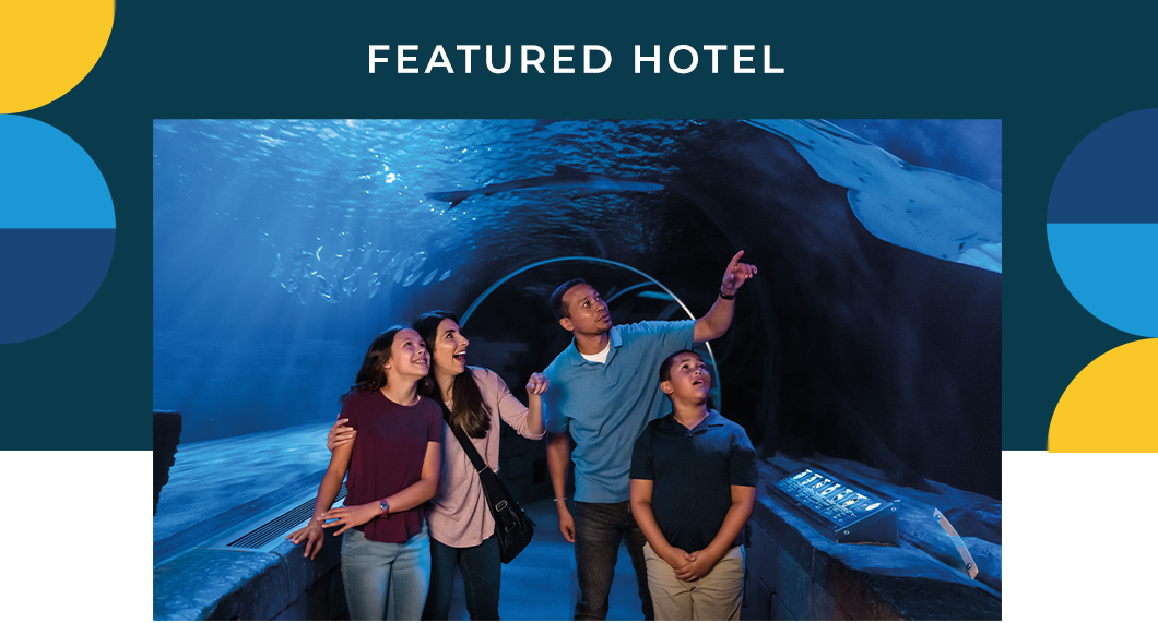 Featured Hotel - Radisson Blu Mall of America
